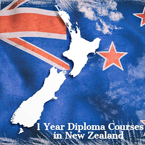 Best one-year diplomas to pursue from New Zealand
